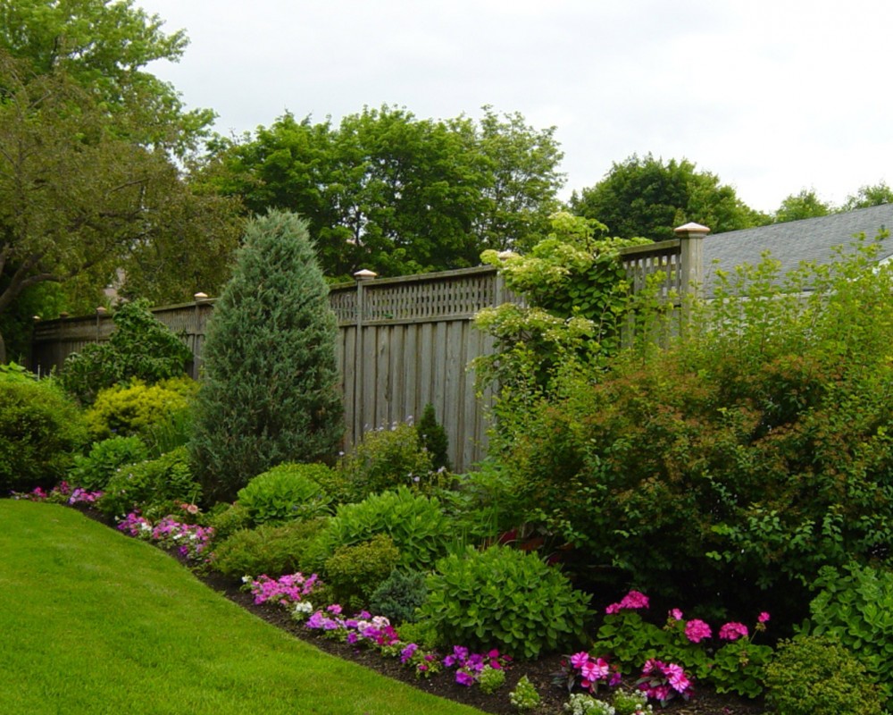 Jardin