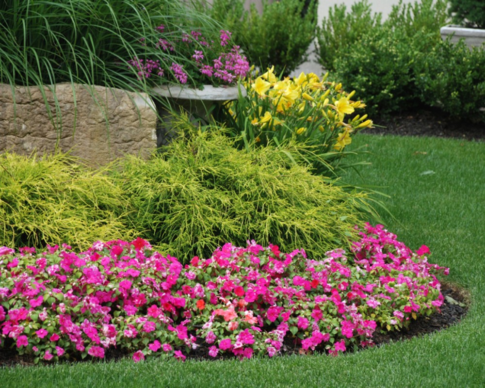 Jardin